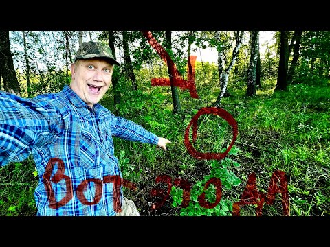 Видео: СРОЧНАЯ НОВОСТЬ !!! СМОТРИТЕ И УВИДИТЕ ! Я ТАЩЮСЬ ! ГРИБНИКА ЗАВОРОЖИЛИ ! Грибы 2024 !