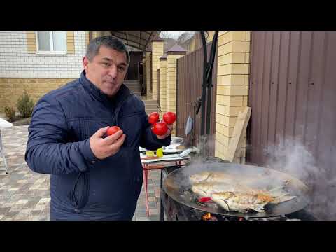 Видео: РЫБА ЖАРЕНАЯ НА СКОВОРОДЕ / Карп фаршированный рецепт