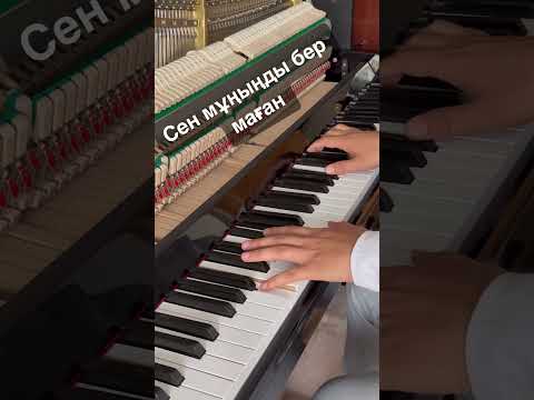 Видео: Мюзикола 🎹