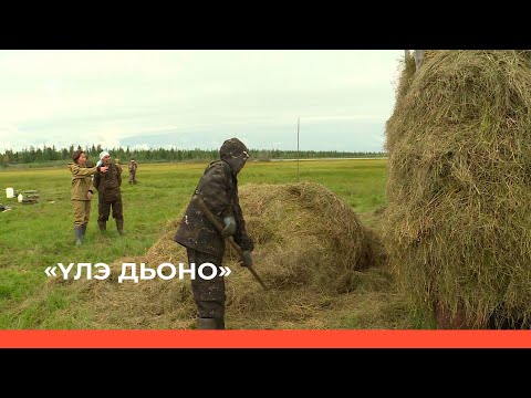 Видео: «Үлэ дьоно» (30.10.22)