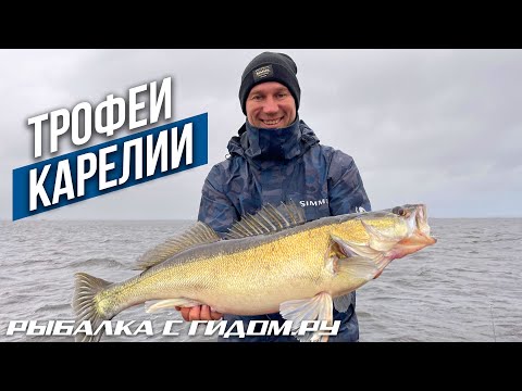 Видео: РЫБАЛКА В КАРЕЛИИ. ПОПАЛИ НА ЖОР СУДАКА В САМУЮ ЖЕСТКУЮ ПОГОДУ. РЫБАЛКА С ГИДОМ.