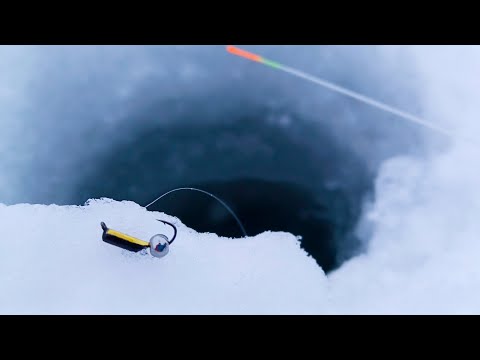 Видео: Только ОПУСТИЛ безмотылку на ГЛУБИНУ, сразу ЗАГИБ. Зимняя рыбалка 2022-2023