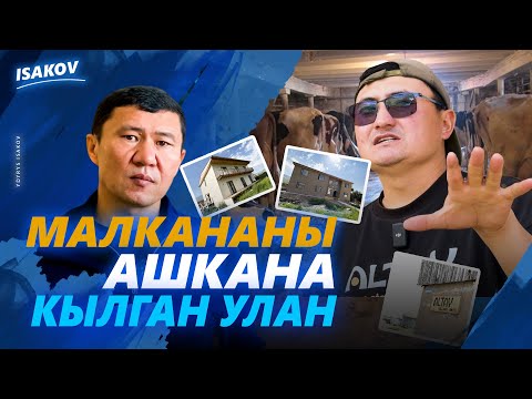 Видео: МАЛКАНАНЫ АШКАНА КЫЛГАН УЛАН / УЙКУ САТКАН УЛАН / АЛТАЙ ОТЕЛ / ЫДЫРЫС ИСАКОВ / НАРЫН /