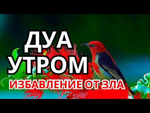 Видео: ✨ ДУА УТРОМ ЧТОБЫ ОЧИСТИТЬСЯ ОТ НЕГАТИВА! 🧼