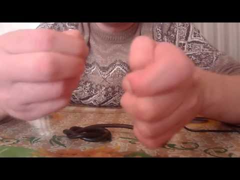 Видео: Оснастка для ловли голавля,на куриную печень