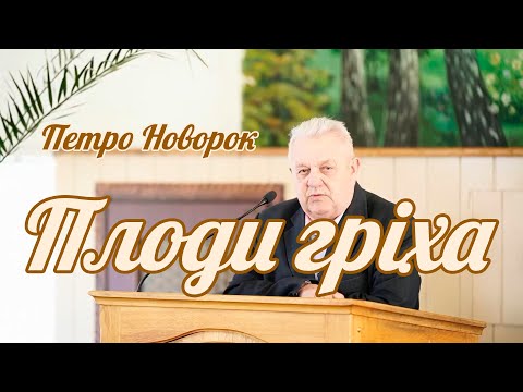 Видео: Петро Новорок - Плоди гріха | Проповідь