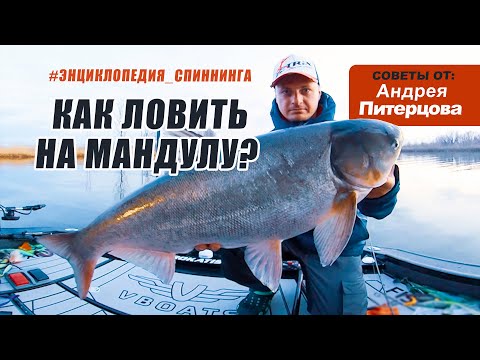 Видео: Энциклопедия спиннинга. МАНДУЛА. Посмотри и вопросов больше не останется!