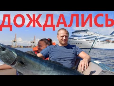 Видео: Рыбалка / Лодка ws Берег / Bullupe ws Daugava / Наконец поймали хищников / Самая разная рыба 4к