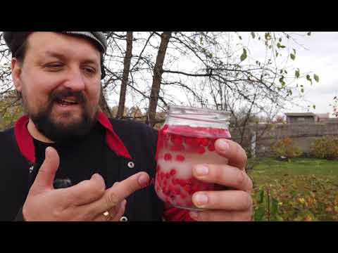 Видео: Можно ли сварить варенье в автоклаве ?