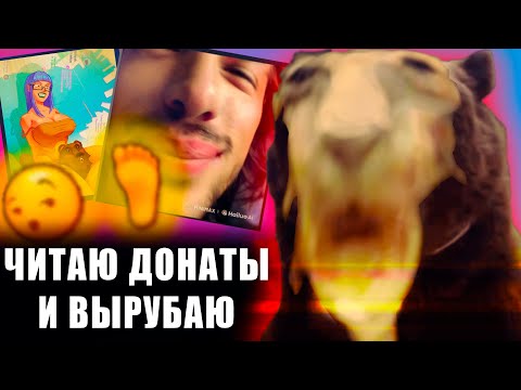Видео: DAWG УГАРАЕТ С ЧАТОМ - (НОВЫЕ ИДЕИ ДЛЯ СТРИМА| ЧИТАЕТ ДОНАТЫ| РЕЙД АЛИНЕ РИН)