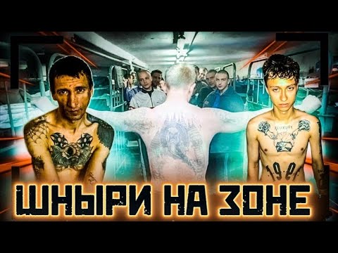 Видео: ШНЫРИ НА ЗОНЕ/кто это такие?