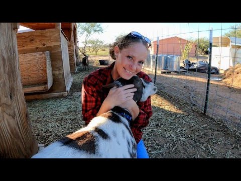 Видео: Мы выиграли «Лучшую на выставке»! 🏆