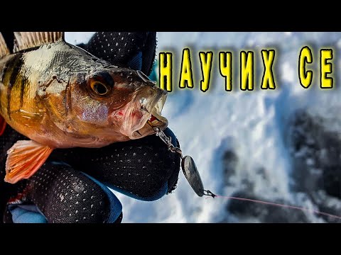 Видео: АТРАКТАНТЪТ РАБОТИ !! РИБОЛОВ НА ДУПКА