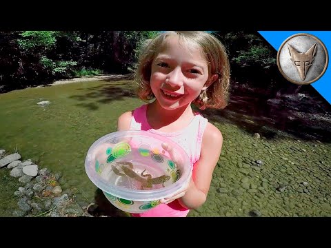 Видео: Откриваме Същества в Потока 🐸 Приключение сред природата | Brave Wilderness Български