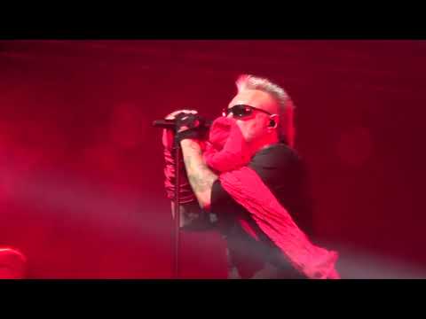 Видео: Алиса Повелитель блох (40 летие группы,Воронеж,02.10.23)