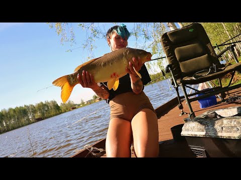 Видео: Ловлю КАРПА и ОТДЫХАЮ! Поклевки, баня и даже поплавок! #499
