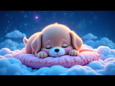 Видео: (Без Рекламы) Засыпайте За 2 Минуты • Избавляет От Стресса, Тревоги И Депрессии • Помогает Вам Лу...