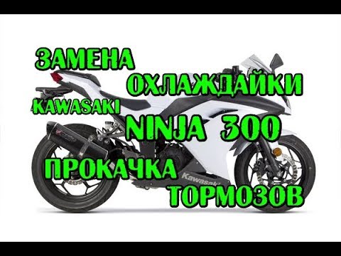 Видео: Kawasaki Ninja 300 (с ABS и без) прокачка тормоза, замена охлаждающей жидкости. кавасаки нинзя 300