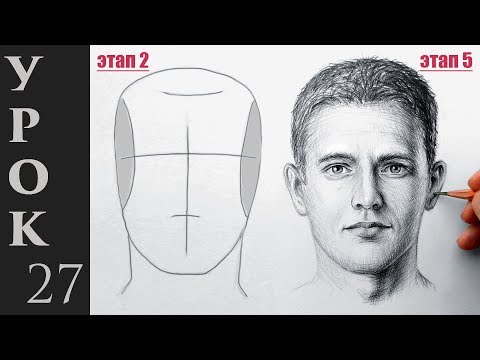 Видео: Как нарисовать портрет, лицо и голову человека. Техника Эндрю Лумиса.