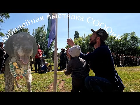 Видео: 90я выставка охотничьих собак в саратовской области