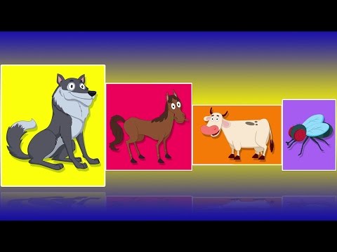 Видео: Животные звучат песни | Потешки для малышей | Learn Animals | Kids Learning | Animal Sound Song