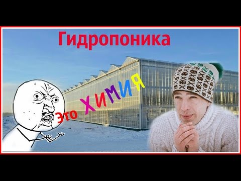 Видео: Гидропоника - Это плохо или хорошо?