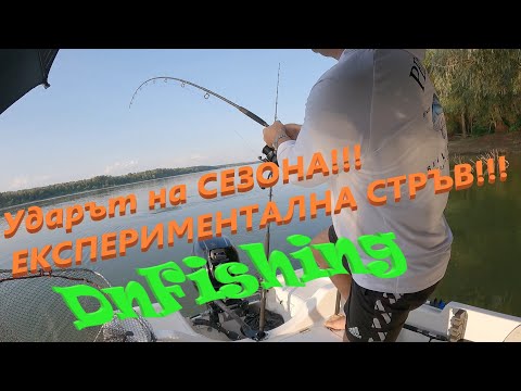 Видео: Див Дунавски ШАРАН на ЧЕСЪН!!! Аttack of the season! Wild carp fishing!