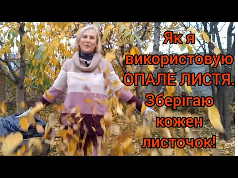 Видео: ОПАЛЕ ЛИСТЯ🍂ПЕРЕГНІЙ Прямо на Грядці.Цінне Органічне Добриво#листоваземля#перегнізопалогрлистя#навоз