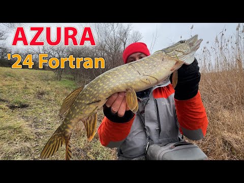 Видео: Azura '24 Fortran 83M спінінг на ЩУКУ ОКУНЯ і СУДАКА
