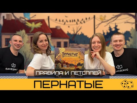 Видео: ПЕРНАТЫЕ (PERCH) 🐦‍⬛ – правила и летсплей настольной игры