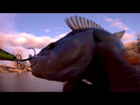 Видео: Отличная прогулка для здоровья и рыбалка в конце ноября.