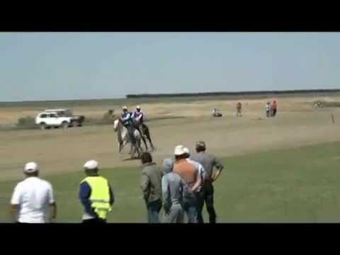 Видео: Шокпартогай байге 2014