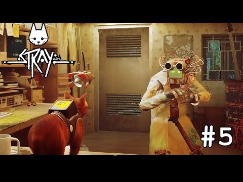 Видео: Stray #5 (В поисках Дока) | Let's Play Слепое прохождение