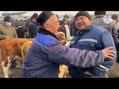 Видео: 11 ноября 2025 г АНДИЖОН ШАХРИХОН ЧУЖА МОЛ БОЗОРИ ЁШ НОВВОСЛАР НАРХЛАРИ ANDIJON SHAXRIHON CHÒJA MOL
