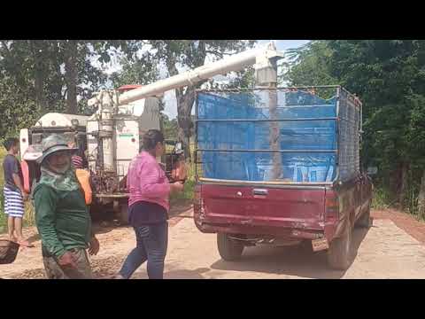 Видео: Как китайцы делают бизнес в Таиланде