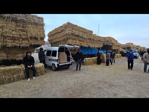 Видео: ХАЗАРАСП ЕМ ХАШАК ЯНГИ НАРХЛАРИ 27 ОКТЯБРЯ 2024