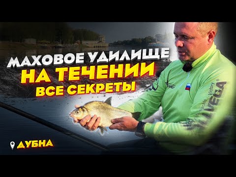 Видео: МАХНУЛИ в Дубну! Ловим на СИЛЬНОМ ТЕЧЕНИИ. Делюсь секретами поплавочной ловли