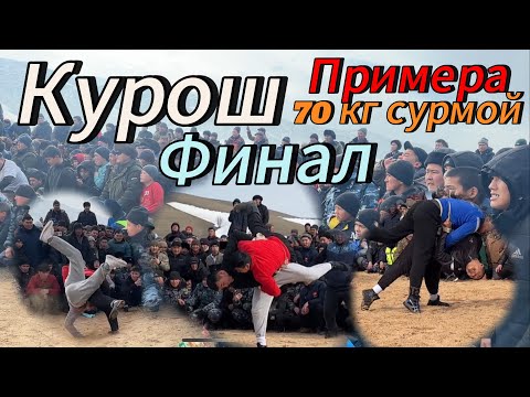 Видео: Курош 70 кг салмак сурмой