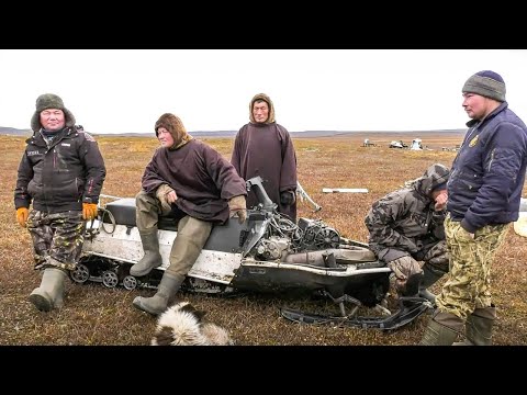 Видео: Снегоход на Крайнем Севере. Друг и помощник Оленеводов | Факты