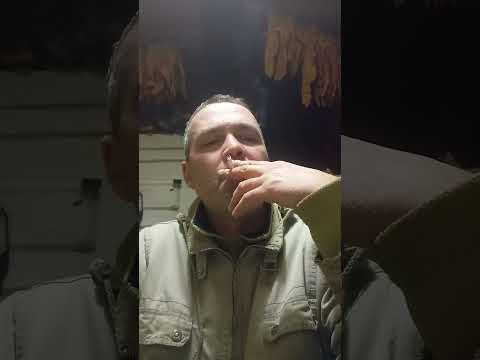 Видео: дегустация свежая вга+мапача🤘🤠✊🤝🤝🤝