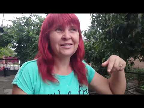 Видео: ГІРЧИЦЯ ВЖЕ ПОСХОДИЛА.ПОЛУНИЦЯ ВИГЛЯДАЄ ІДЕАЛЬНО.ПУСТИВСЯ ДОЩИК.ОГЛЯД ГОРОДА ТА ПОКУПОК З ЦІНАМИ !!?