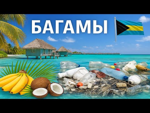 Видео: #34: БАГАМЫ - курорт среди нищеты / Bahamas