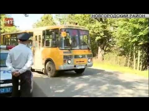 Видео: В регионе проходит акция «Школьный автобус»