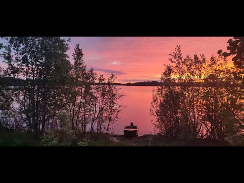 Видео: Рыбалка по Традиции на Избу. Пять дней в Тайге. Крупные Щуки не давали скучать. Часть-2 Финал.
