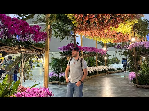 Видео: Эксклюзивное с Выставки TIOS-2024 Taiwan Orchids Show WOC | ВТОРАЯ ЧАСТЬ