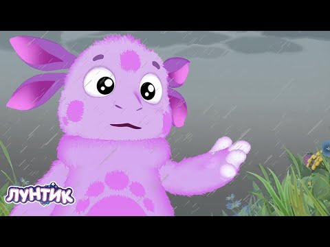 Видео: Лунтик | Ноябрь 🍂🍁🍂 Сборник мультиков для детей