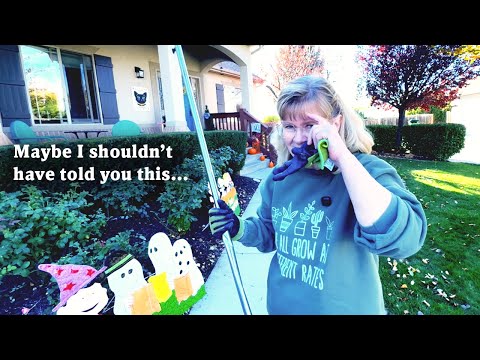 Видео: Осенняя уборка двора и общение