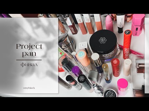 Видео: Двенадцатый отчет по проекту Project Pan 2024. Финал проекта, подводим итоги года✨