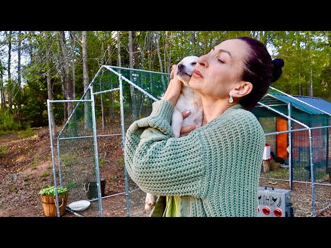 Видео: 100 Тысяч Дел | Ужин по Домашнему | Распаковка | Лопух | Семейный Влог | Эгине | Heghineh