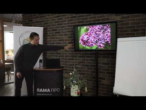 Видео: 1ч . "Производство Сиреней", Алексей Горбунов